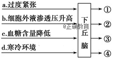 www.xiangpi.com
