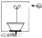 www.xiangpi.com