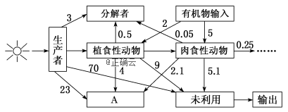 www.xiangpi.com