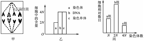 www.xiangpi.com