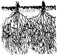 www.xiangpi.com