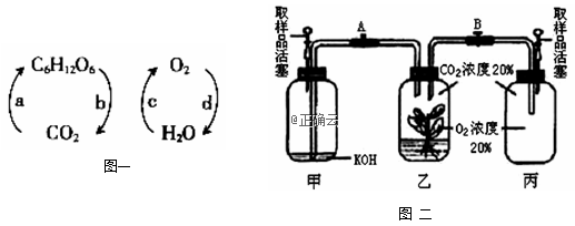 www.xiangpi.com