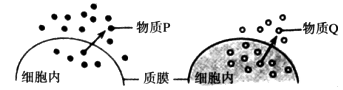 www.xiangpi.com