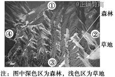www.xiangpi.com