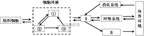 www.xiangpi.com