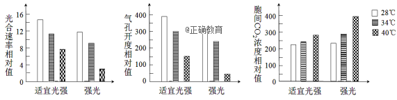 www.xiangpi.com