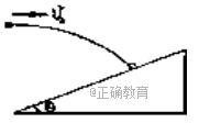 www.xiangpi.com
