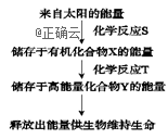 www.xiangpi.com