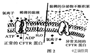 www.xiangpi.com