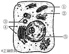 www.xiangpi.com