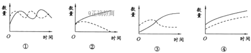 www.xiangpi.com