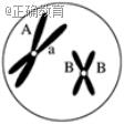 www.xiangpi.com