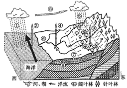 www.xiangpi.com
