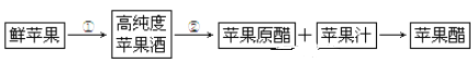 www.xiangpi.com