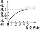 www.xiangpi.com