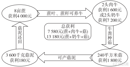 www.xiangpi.com