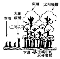 www.xiangpi.com