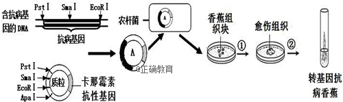 www.xiangpi.com