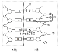 www.xiangpi.com