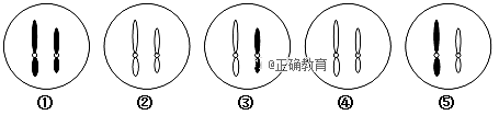 www.xiangpi.com