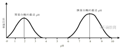 www.xiangpi.com