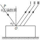www.xiangpi.com
