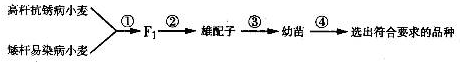 www.xiangpi.com