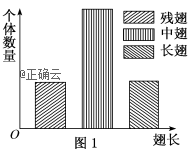 www.xiangpi.com