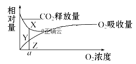 www.xiangpi.com