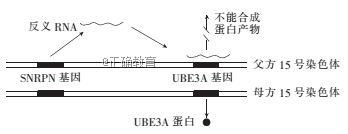 www.xiangpi.com