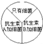 www.xiangpi.com