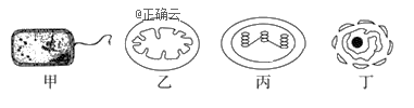www.xiangpi.com
