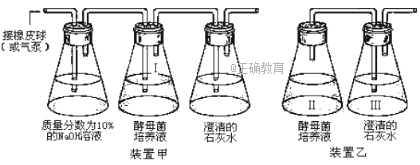 www.xiangpi.com