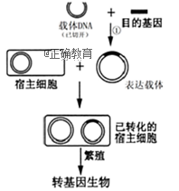 www.xiangpi.com