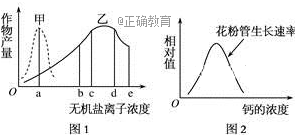www.xiangpi.com