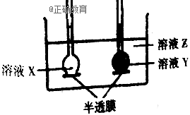 www.xiangpi.com