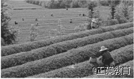 www.xiangpi.com