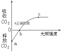 www.xiangpi.com