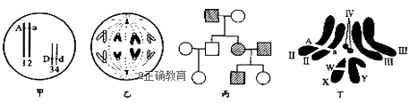 www.xiangpi.com