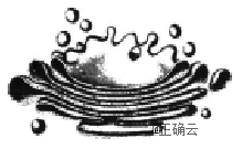 www.xiangpi.com
