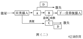 www.xiangpi.com