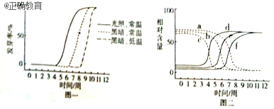 www.xiangpi.com