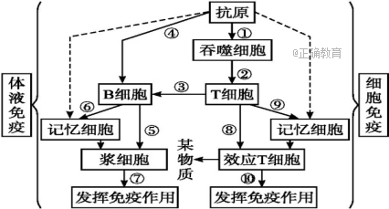 www.xiangpi.com