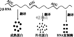 www.xiangpi.com
