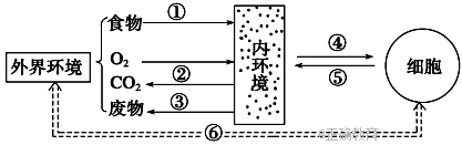 www.xiangpi.com