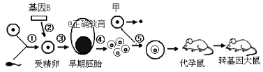 www.xiangpi.com
