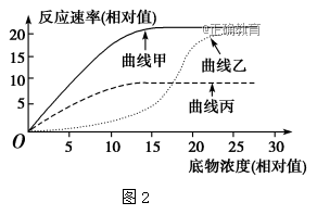 www.xiangpi.com