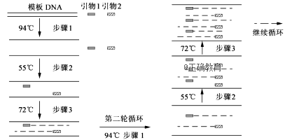 www.xiangpi.com