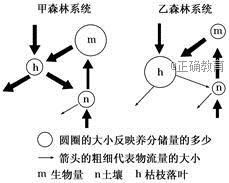 www.xiangpi.com