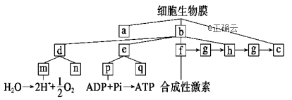 www.xiangpi.com
